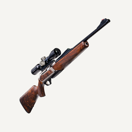carabine-chasse