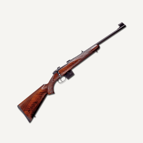 fusil-chasse