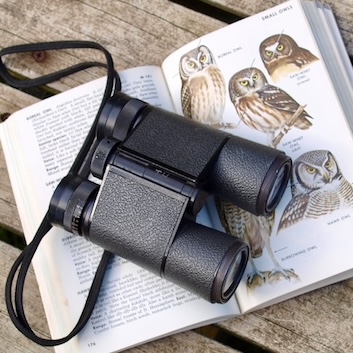 observation-jumelles